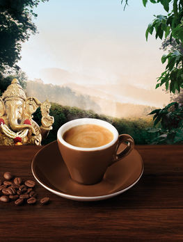 Lebensbaum Espresso Kaapi Kerala Bohne demeter 250g MHD 01.05.2023