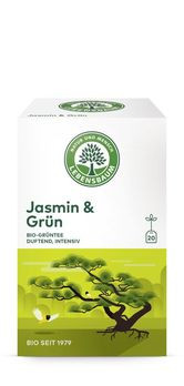 Lebensbaum Jasmin & Grün 20 Btl MHD 31.07.2021